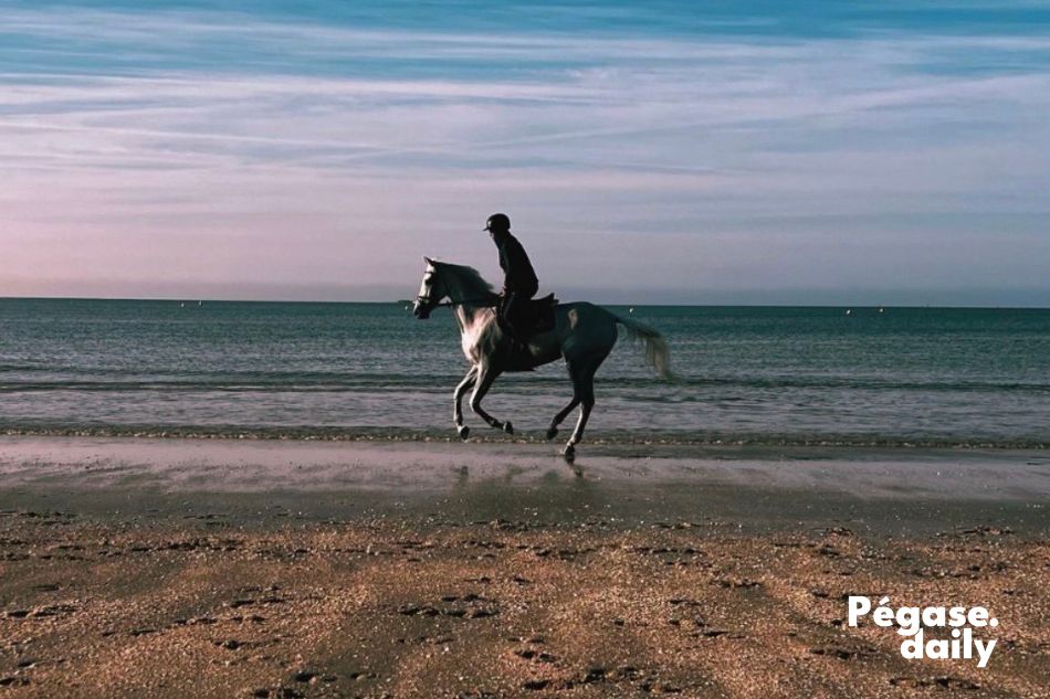 roxanne legendre photographe cheval sur la plage la baule Pégase Daily
