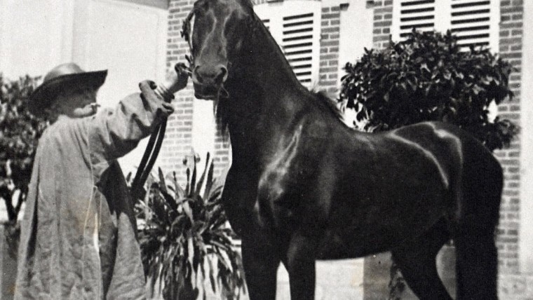 Exposition - Rosa bonheur et le cheval, musée vivant du cheval Chantilly, château de chantilly, agenda équestre, événement équestre | Pégase Daily
