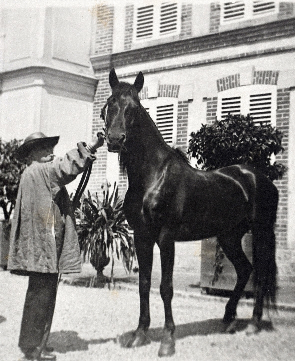 Exposition - Rosa bonheur et le cheval, musée vivant du cheval Chantilly, château de chantilly, agenda équestre, événement équestre | Pégase Daily