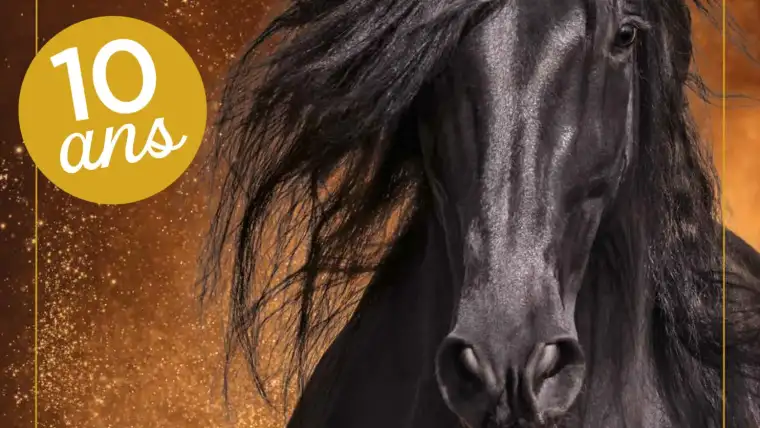 plaquette salon du cheval d'Angers, événement équestre, agenda