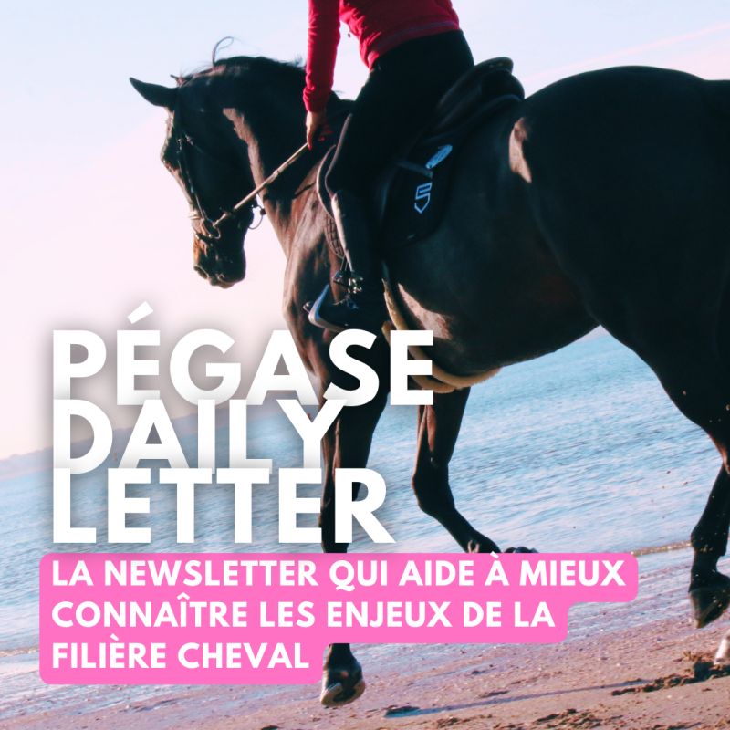 newsletter-pegase-daily-letter-juin-2024