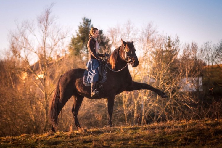 laure-souquet-equitation-intuitive-connectee-monter-douceur-legerete-de-femme-a-cheval-formation-en-ligne-4